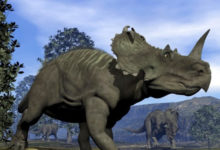 Фото - Найдены первые останки динозавра, умершего от рака