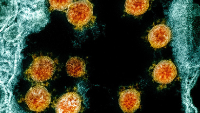 Фото - Назван способствующий распространению коронавируса климат