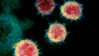 Фото - Названы главные переносчики коронавируса