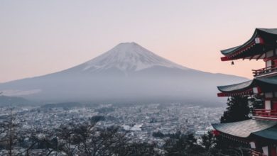 Фото - Названы самые сильные паспорта мира 2020 года. Японцы лидируют