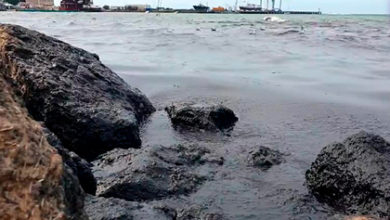 Фото - Объяснен феномен черной воды у берегов Черного моря