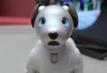 Фото - Обзор Sony Aibo — робот-пес с интеллектом