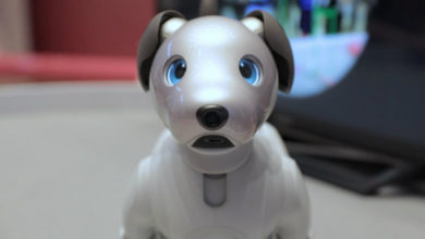 Фото - Обзор Sony Aibo — робот-пес с интеллектом