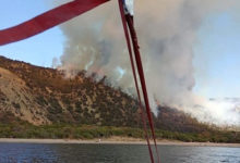 Фото - Очевидица раскрыла подробности мощного пожара на побережье Кубани
