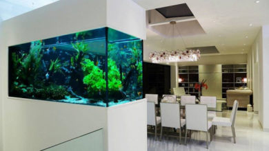 Фото - Особенности установки аквариума в интерьере коридора, гостиной, спальни и ванной комнаты