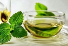 Фото - Открыты новые полезные свойства зеленого чая