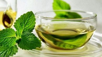 Фото - Открыты новые полезные свойства зеленого чая