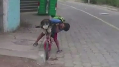 Фото - Отправляясь с собакой в поездку на велосипеде, мальчик не забыл о маске для питомицы