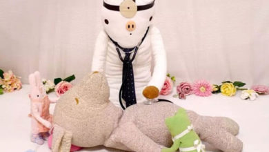 Фото - Плюшевый госпиталь оказывает медицинскую помощь игрушечным пациентам