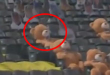 Фото - Плюшевый мишка, следящий за игрой в бейсбол, получил мячом по голове