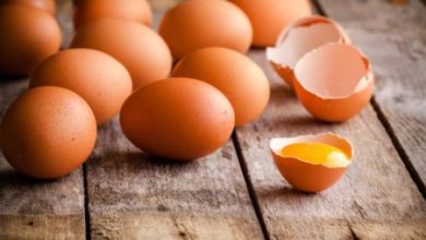 Фото - Почему яйца нужно есть регулярно