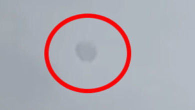 Фото - Полупрозрачный НЛО удалось снять на видео до того, как он исчез в небе
