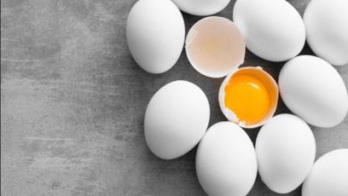 Фото - Польза или вред: учёные спорят о необходимости употребления яиц