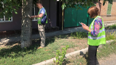 Фото - Пресс-релиз: Опубликована электронная карта деревьев города Ростова-на-Дону