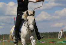 Фото - Пресс-релиз: Первый Чемпионат России по конной стрельбе из лука