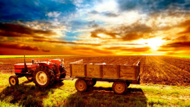 Фото - Пресс-релиз: Помощь малому и среднему бизнесу в сельском хозяйстве.