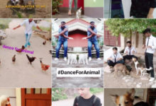 Фото - Пресс-релиз: Приложение Likee запустило инициативу по защите животных #DanceForAnimal