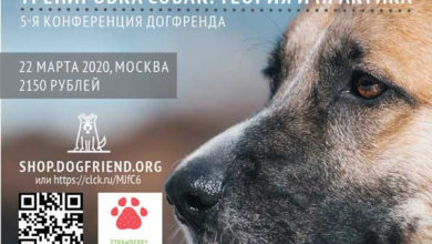 Фото - Пресс-релиз: В Москве пройдет конференция «Тренировка собак: теория и практика»: пятая российская конференция по психологии собак,