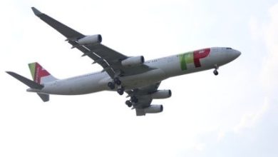 Фото - Пресс-релиз: В Португалию прямыми рейсами TAP Portugal — летом и в бархатный сезон