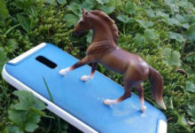 Фото - Приклеенная к телефону игрушечная лошадь теперь присутствует на каждом фото своей хозяйки