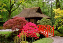 Фото - Разные виды японского сада: правила создания стиля