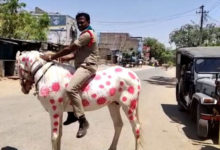Фото - Разрисованная полицейская лошадь многим не понравилась