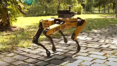 Фото - Робот-собака гуляет по парку, напоминая горожанам о том, как важно соблюдать карантин