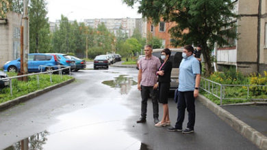 Фото - Российские депутаты устроили совещание по поводу лужи