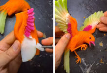 Фото - Съедобные корнеплоды превращаются в удивительных реалистичных птиц