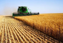 Фото - Сельхозпроизводство в Украине замедлило падение