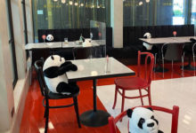 Фото - Сотрудники ресторана рассадили за столиками игрушечных панд