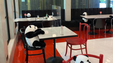 Фото - Сотрудники ресторана рассадили за столиками игрушечных панд