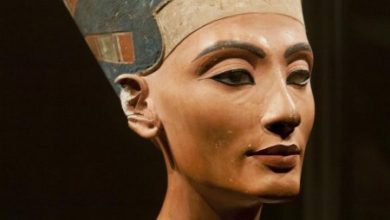 Фото - Ученым удалось воссоздать облик Нефертити