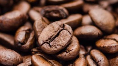 Фото - Учёные: кофе поможет выжить