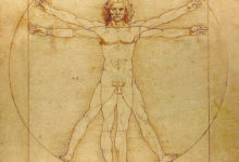 Фото - Учёные решили загадку сердца, заданную 500 лет назад Леонардо да Винчи