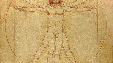 Фото - Учёные решили загадку сердца, заданную 500 лет назад Леонардо да Винчи