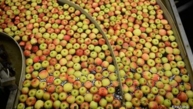 Фото - Украина резко сократила экспорт фруктов и овощей