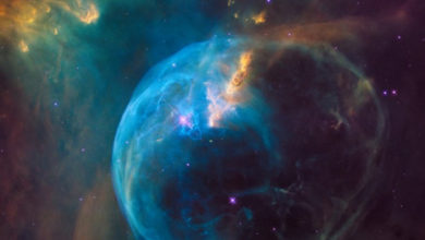 Фото - В девонском вымирании обвинили вспышку сверхновой