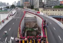 Фото - В Китае построили автостраду вокруг дома китаянки, которая отказалась переезжать