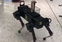 Фото - В магазине поселился робот-собака, предлагающий покупателям продезинфицировать руки