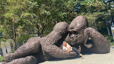 Фото - В парке Нью-Йорка появилась гигантская обезьяна