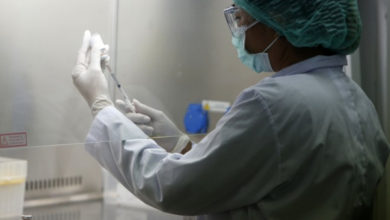 Фото - В России разрабатывают вакцину от африканской чумы свиней