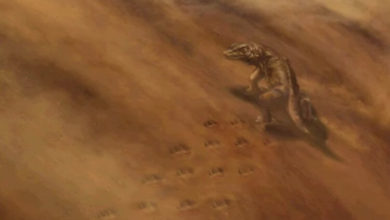 Фото - В США обрушилась скала и обнажила следы загадочных животных древности