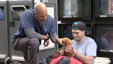 Фото - Ветеринар ходит по улицам и лечит питомцев, принадлежащих бездомным людям
