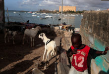 Фото - Восстановление экономики Африки «повисло на волоске»