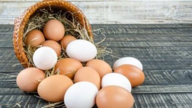 Фото - Врачи рекомендуют съедать на Пасху три яйца