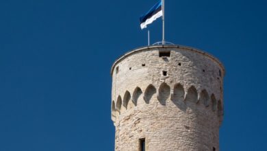 Фото - За первые полгода 2020-го гражданство Эстонии получили почти 400 иностранцев