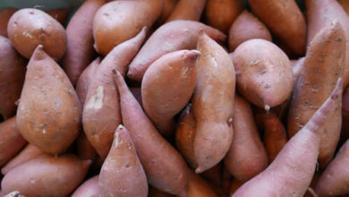 Фото - Заказав килограмм сладкого картофеля, женщина получила всего один гигантский экземпляр