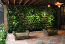 Фото - Зеленая стена в интерьере комнат: идеи и дизайн