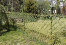 Фото - Живая изгородь из ивы: как создать изящный вариант дачной ограды
